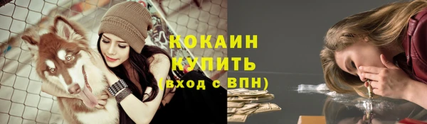 дживик Алзамай