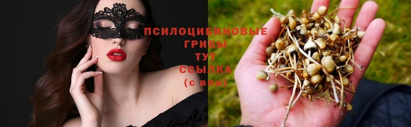 соль курить ск Алексин