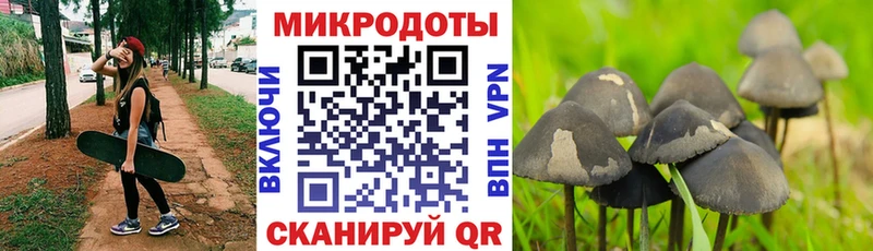 Псилоцибиновые грибы мухоморы  кракен ТОР  Арсеньев  как найти закладки 