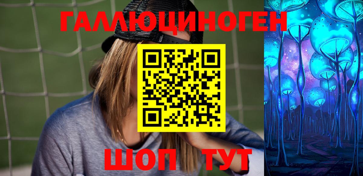 Арсеньев  Галлюциногенные грибы Psilocybine cubensis  Галлюциногенные грибы Psilocybine cubensis  Вход с VPN 