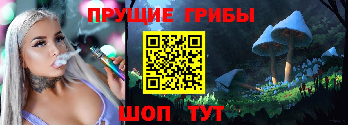 Галлюциногенные грибы Psilocybe Арсеньев